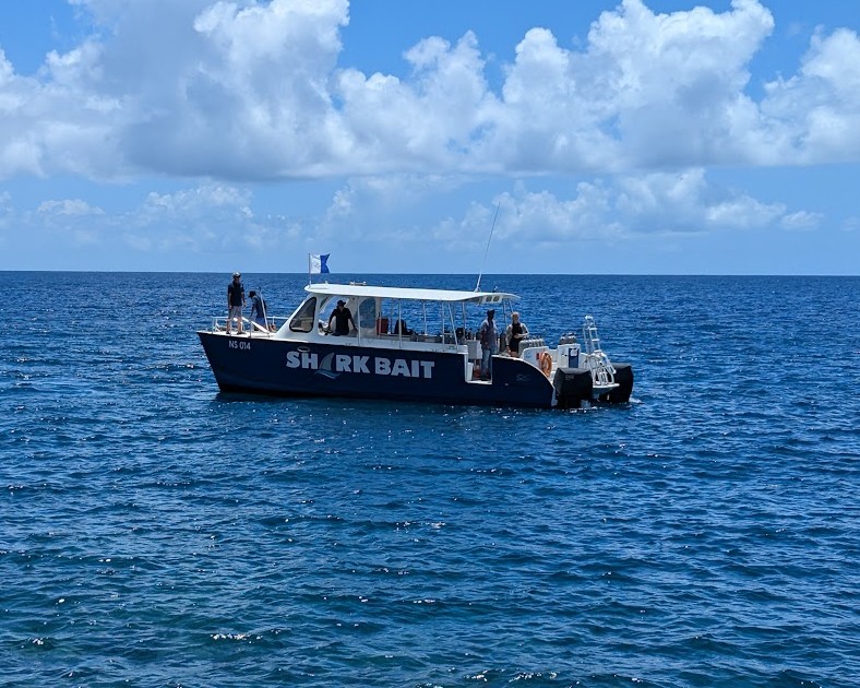 Sea Saba Boats