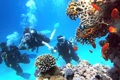 Scuba Shack AXA Diving Adventures